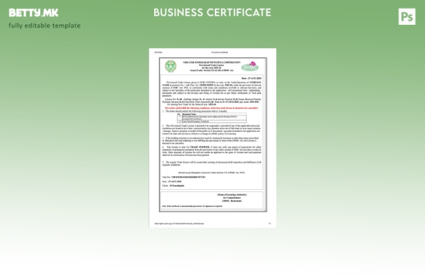 Модерен стил Индија Хајдерабад привремена трговска лиценца Шаблон за Word и PDF